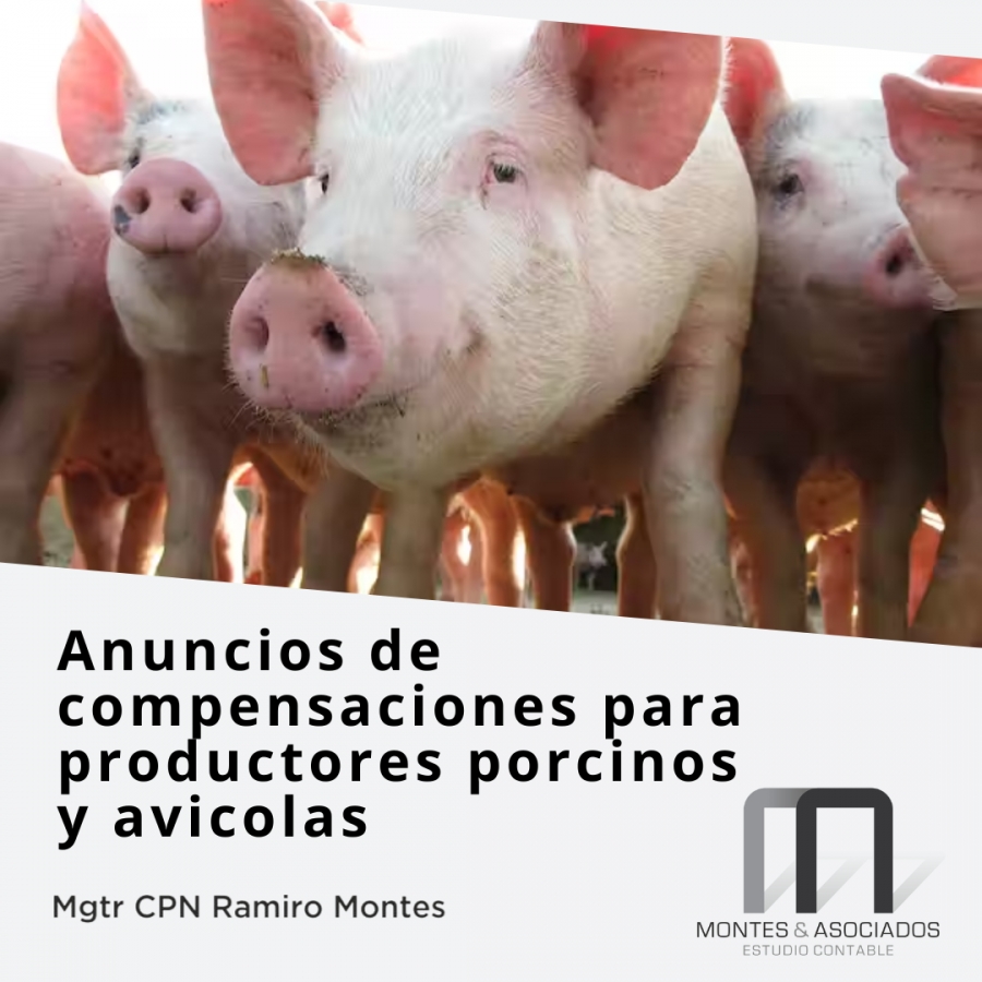 Programa de compensación para productores porcinos y avícolas ¿En qué consiste?